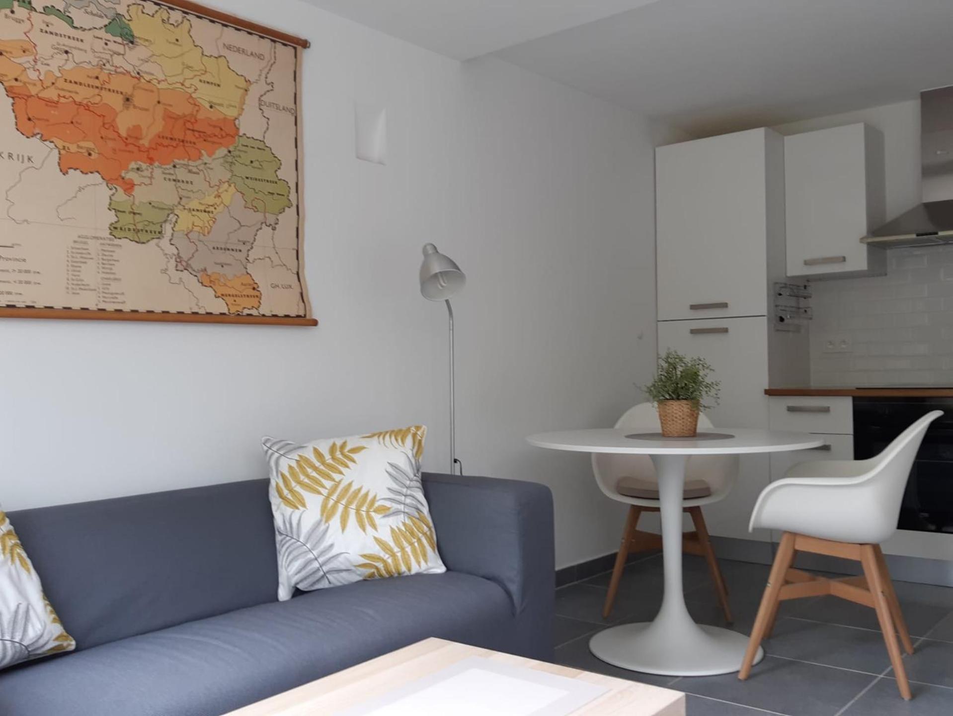 Terrasses de Malmedy F&L triplex 214 et studio 320 et 317 et Studio supérieur 340 Habitación foto
